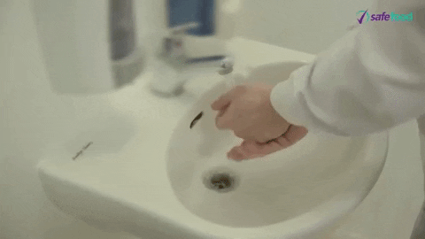 Wash Hands Water GIF by safefood