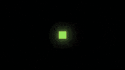 Jack Black GIF