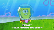 episode 1 GIF by SpongeBob SquarePants
