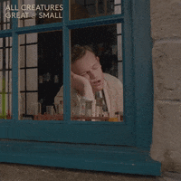 allcreaturestv animals sleeping yorkshire snoring GIF