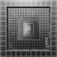 Black And White Art GIF by Pi-Slices