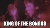 drums GIF by Paul McCartney