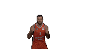 Gameday Reddragons Sticker by bkbasketbol