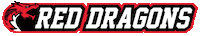 BKBASKETBALL victory gameday reddragons bahcesehir Sticker