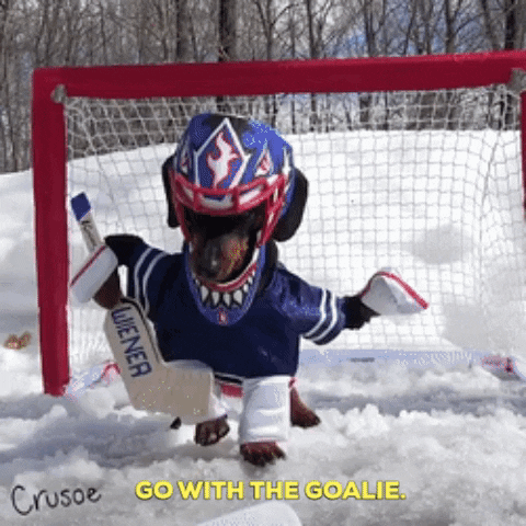 VicVik giphygifmaker giphyattribution GIF