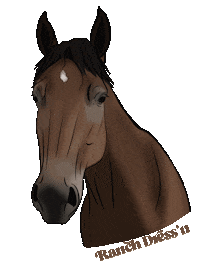 Horse Rodeo Sticker by RANCH DRESS'N
