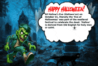 Black Cat Halloween GIF