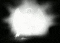 f. w. murnau angel GIF by Maudit