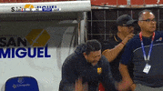 tdmas_cr  GIF