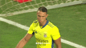 High Five Sl Benfica GIF by Sport Lisboa e Benfica