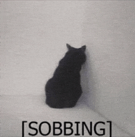 Sad Cat GIF
