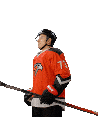 Hockey Hawk Sticker by Avangard