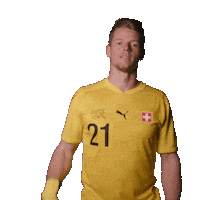 Swiss Flag Switzerland Sticker by Swiss Football Association