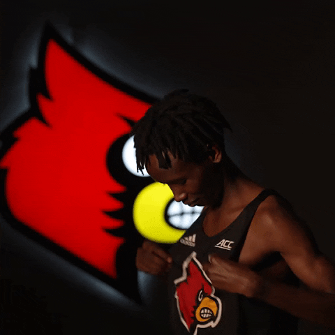 University Of Louisville GIF by Louisville Cardinals