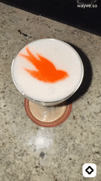 Mood Feels GIF by Darwin