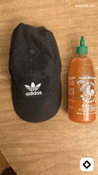 Mood Feels GIF by Darwin