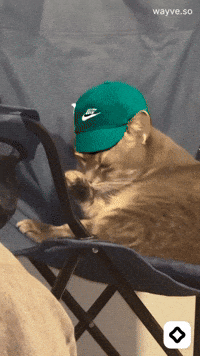 Mood Feels GIF by Darwin