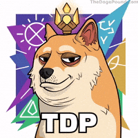 I Know Deal With It GIF by Doge Pound