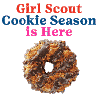 Cookies Thinmints Sticker by Little Brownie Bakers