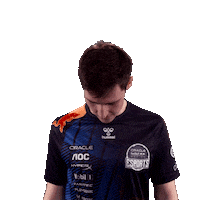 Red Bull Esports Sticker by Oracle Red Bull Racing