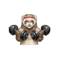 Fitness Trying Sticker