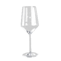 sternefresser party drink weekend wine Sticker