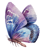 Rainbow Love Sticker
