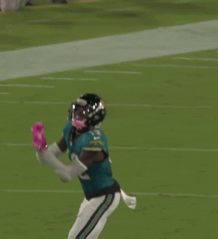 Catch Jaguars GIF