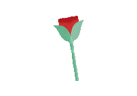 Flower Rosa Sticker