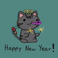 tutimon cat animation cartoon cats GIF
