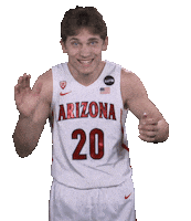 Arizona Wildcats Sticker by Arizona Men's Basketball