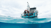 Discovery GIF by Shark Week
