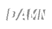 Damn Collective Sticker