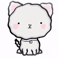 copomx cat kitty gato gatito GIF