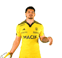 Rugby Mcfarland Sticker by Stade Rochelais