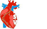 Heart Feminist Sticker
