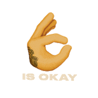 Emoji Ok Sticker by Nie Wieder Broke