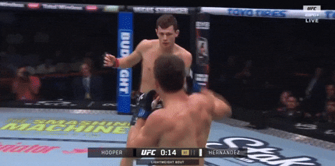 giphy.gif