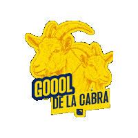 Ecuador Finanzas Sticker by Banco Pichincha