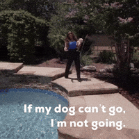 Dog Im Not Going GIF by Rise Property Group