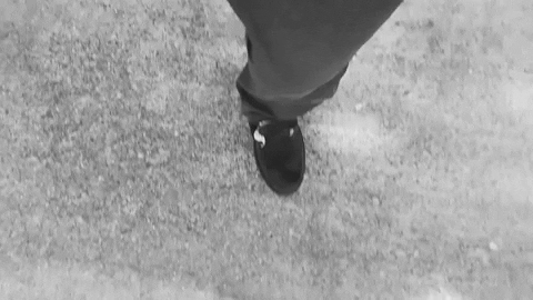 Simongip giphygifmaker GIF