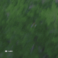 Car Driving GIF by FIA World Rally Championship