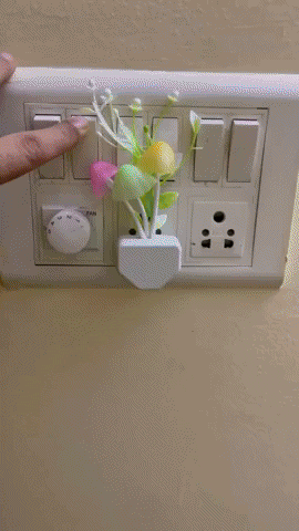 TigerClothingCo giphyupload GIF