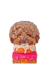 Food Dessert Sticker