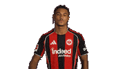 Eintracht Frankfurt Sticker by Bundesliga