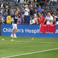 lavsj GIF by LA Galaxy