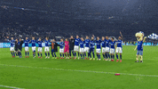 Happy Football GIF by FC Schalke 04