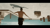 Ultra Music GIF by Ultra Records