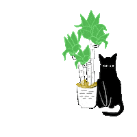 courtneypure cat tree plants hooman Sticker