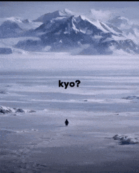 Penguin Punjabi GIF